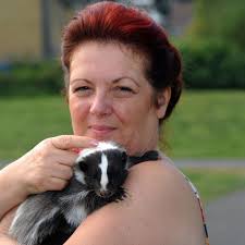 While keeping a domesticated skunk as a pet, their life span tends to stretch longer than that of typical wild skunks. Meet The Woman Who Walks Her Pet Skunk To Work Mirror Online