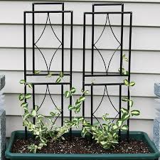 As a structure that's both decorative and functional. Charlton Home Odalys Contemporary Steel Gothic Trellis Set Reviews Wayfair