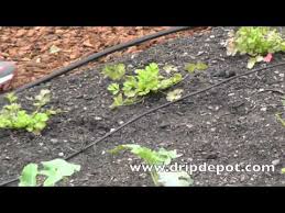 drip irrigation kit for vegetable gardens