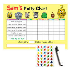 Personalised Potty Toilet Training Reward Chart Wipe Clean Kids Sticker Star Ebay