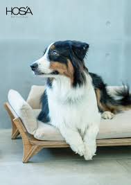 Designer Dog Beds Dog Couch Pet Furniture