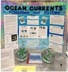  The Beauty of Biochar  project wins first place in Seattle Science Fair SlidePlayer
