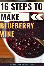 16 steps to make blueberry wine step