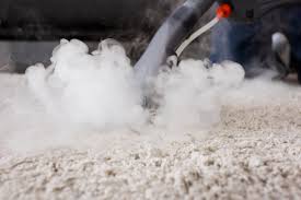 stop steam cleaning your carpet and do