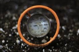 What Is Soil Temperature Learn About The Ideal Soil