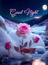 Good night wishes | Good night wishes, Good night sweet dreams, Good  morning flowers gif