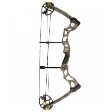 Best Compound Bow For The Money 2019 Reviews For Any Budget