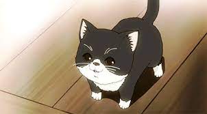 25 best cats in anime the ultimate