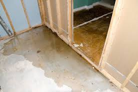 Indianapolis Flooded Basement Cleanup