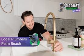Your Local Plumbers In Palm Beach
