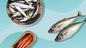 Is sardine and anchovies the same thing?