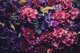 Cute Purple Flowered Summer Wallpapers ...