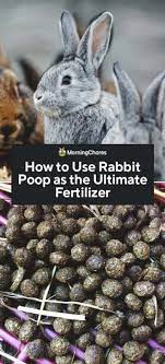 how to use rabbit as fertilizer