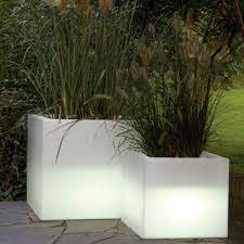 Illuminated Indoor Outdoor Planters
