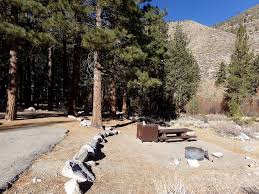 And as the new owners, we are here to help you with whatever experience you desire. Big Pine Creek Campground Rrm Clm Services