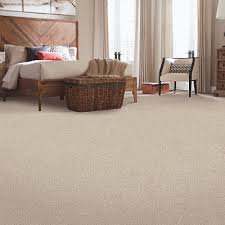 carpet cleaning bronx ny r r carpets
