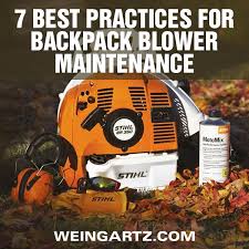 7 Best Practices For Backpack Blower Maintenance Weingartz