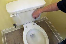 Replacing A Toilet Seat A Diy Project