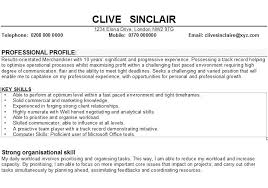 Personal Profile Statement on a CV     Free Examples   CV Plaza