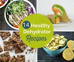 14 healthy dehydrator recipes