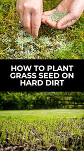 how to plant gr seed on hard dirt