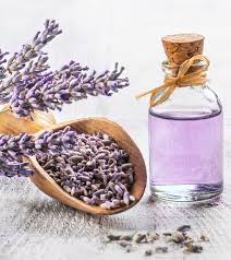 lavender oil for hair how to use
