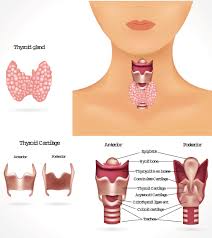 thyroid disease diagnosis and