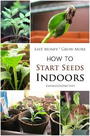 Starting Seeds Indoors Seed Starting
