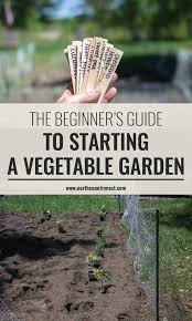 How To Start A Vegetable Garden The