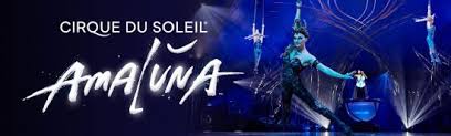 Everything You Need To Know About Cirque Du Soleils Amaluna