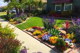 front yard landscaping ideas for curb