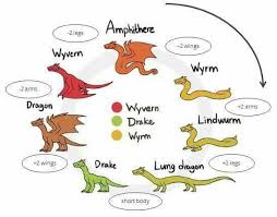 Finally A Chart For Different Types Of Dragons In 2019