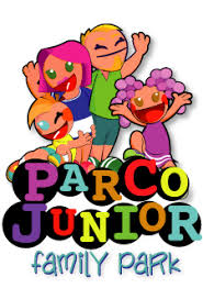 Someone who has a job at a low level within an organization: Parco Junior