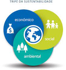 responsabilidade social empresarial_tripe sustentabilidade - Blog Risü