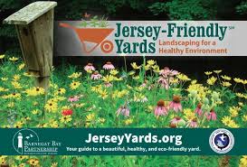 Jersey Friendly Yards Website Create