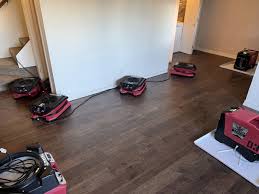 water damage cleanup wylie tx