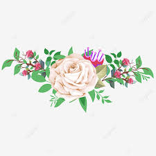 beautiful rose flowers border design