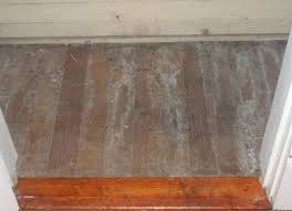 Wood Flooring Mold Problems Dealing