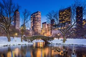 cold weather activities in nyc the