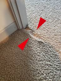 cat damage carpet repair vancouver wa