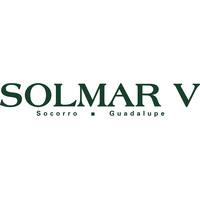 Image result for solmar v logo