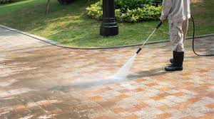clean an area rug with pressure washer