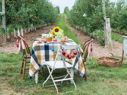 45 fall harvest party ideas how to