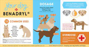 benadryl for dogs uses side effects