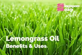 lemongr oil benefits where to