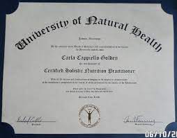 bachelor of science degree