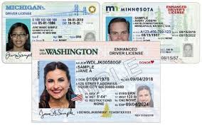 license for international travel
