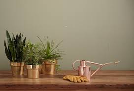 Image result for free copper metal pots for plant stock photos
