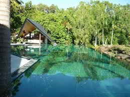 Paradise links port douglas luxury villa craiglie. Public Infinity Pool Area Picture Of Niramaya Villas And Spa Port Douglas Tripadvisor