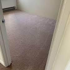 area rug cleaning in everett wa